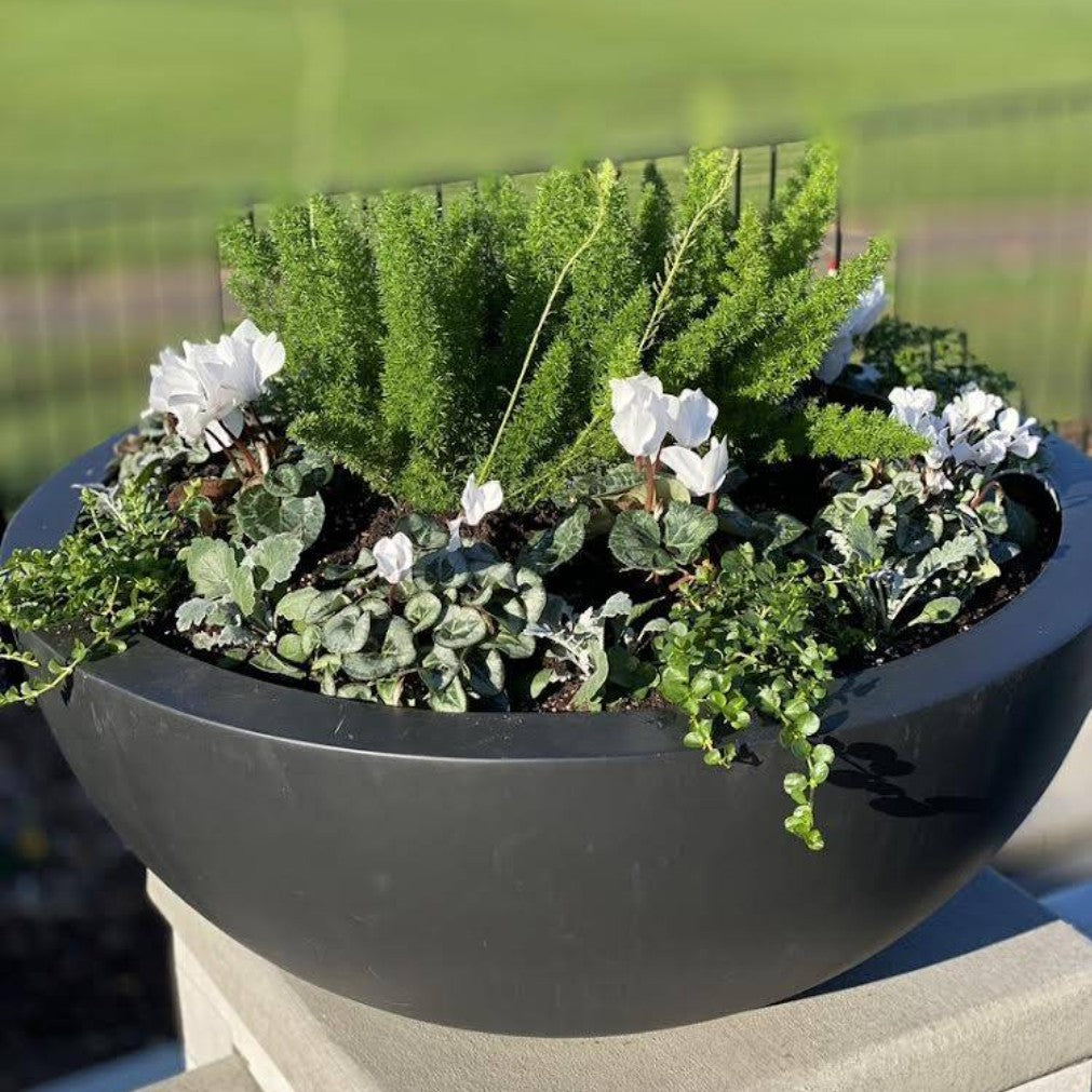 Luxe Low Planter Bowl
