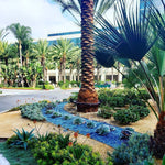 Load image into Gallery viewer, 1/2" Cobalt Blue Reflective Fire Glass - Outdoor Fire and Patio