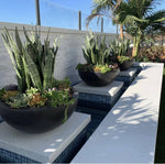 Load image into Gallery viewer, Luxe Low Planter Bowl Large - Outdoor Fire and Patio